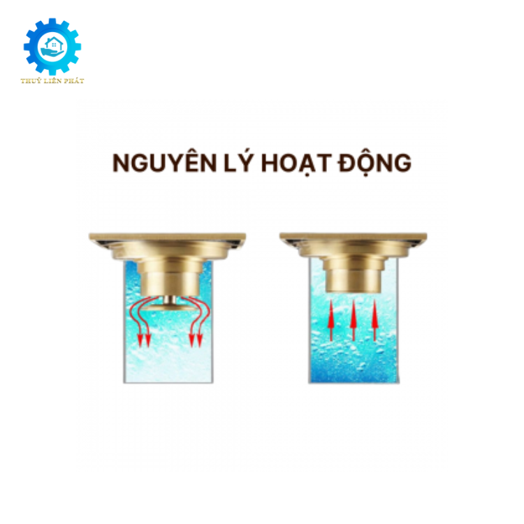 nguyen_ly_hoat_dong